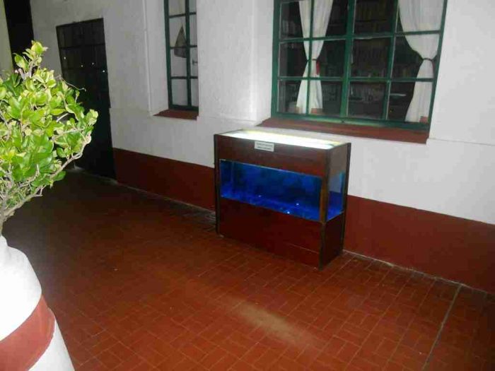 Peces para el Acuario