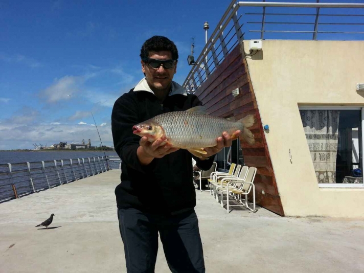 Bogas en el muelle