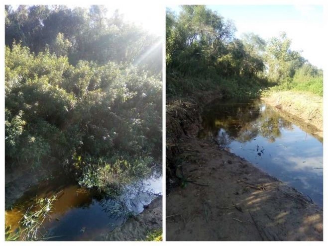 Limpieza de la costa del Arroyo Negro del Guazú: antes y después