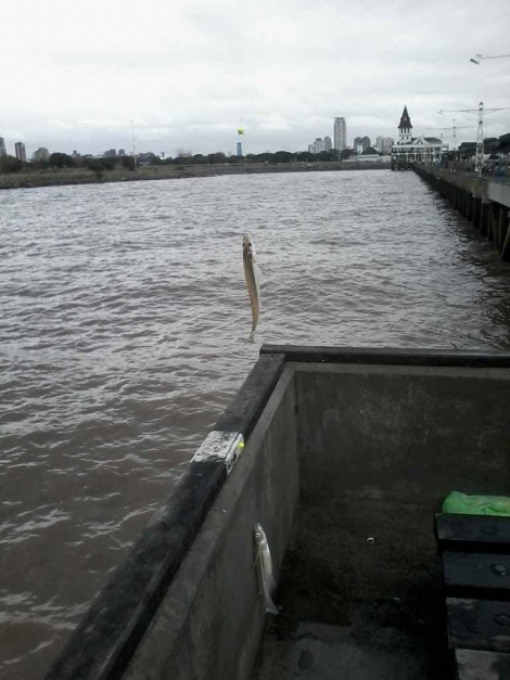 Mal tiempo ... mucha pesca