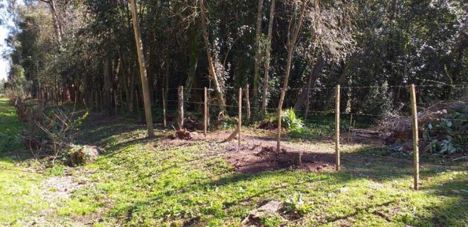 Cambio gradual del alambrado que circunda la Sede Chascomús