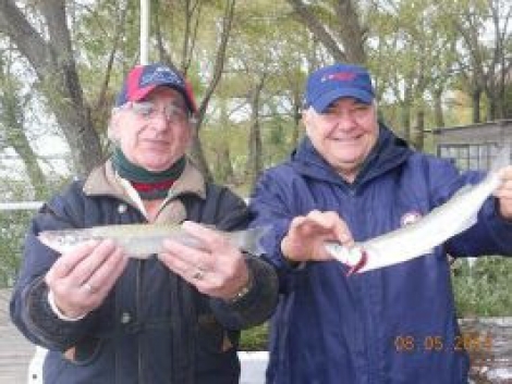 Pejerreyes en el Guazú